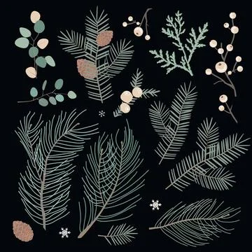 Christmas foliage decoration elements set. Hand painted winter greenery fir t Illustrazione stock
