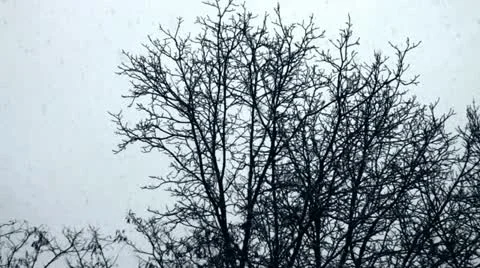 Christmas Video stock 12378759