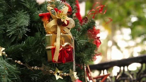 Christmas Stock Footage 22137386