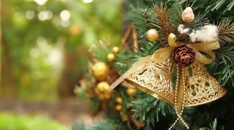 Christmas Stock Footage 22139844