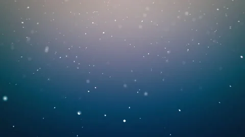 Christmas Stock Footage 165387149