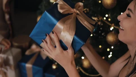 Christmas  Stock Footage 225154801