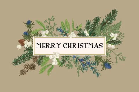 Christmas frame with winter plants. Illustrazione stock