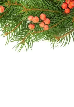 Christmas framework Foto stock