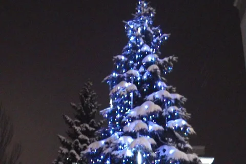 Christmas fur-tree Stock Footage