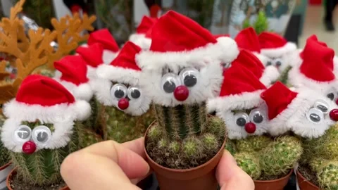 Christmas gift and present in the form of a cactus, snowman and Santa Claus. New Stock Footage 315214061