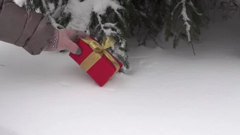 Christmas gift box under the tree in a snowy . Stock Footage 166114225