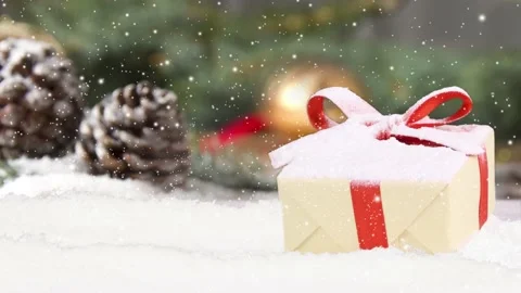 Christmas Gift Stock-Footage 164581869