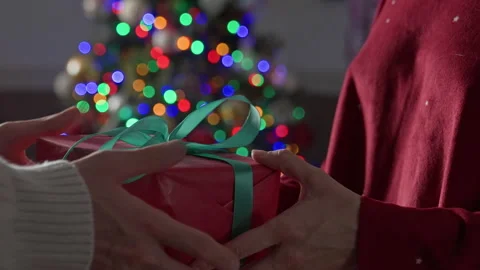 Christmas gift giving, Stock Footage 219326830