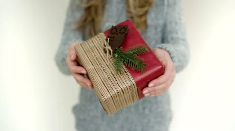 Christmas Gift with Owl Stock Footage 54290413