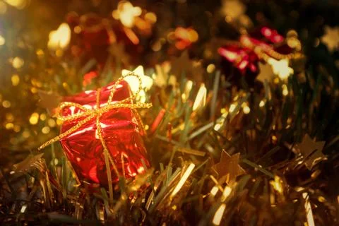 Christmas Gift on Pine Tree Stock Photos