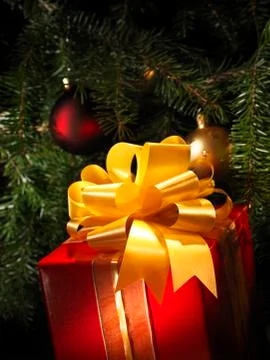Christmas gift with a tree Stock Photos
