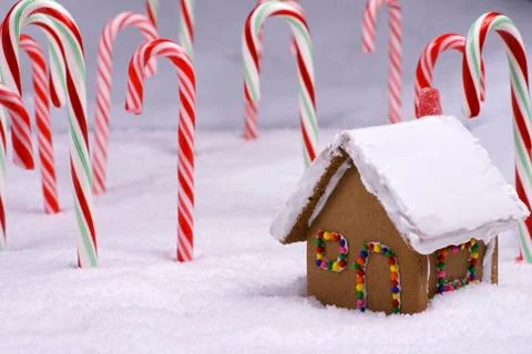 Christmas ginger bread cottage in candy cane forest Stock Photos