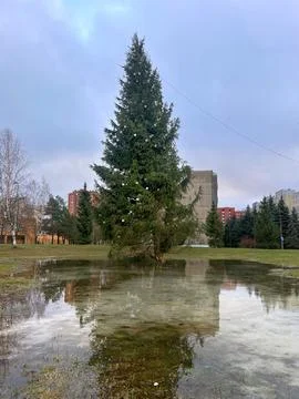 Christmas, global warming Stock-Fotos