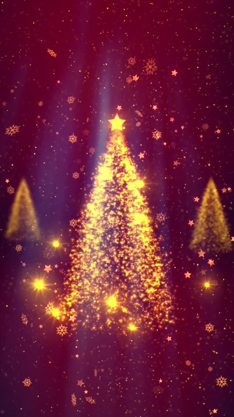 Christmas Glory 1 Stock Footage 286130910