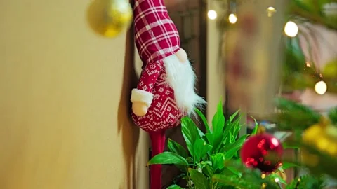 Christmas Gnome Decoration With Focus Shift Toward Twinkling Holiday Tree Stock Footage 340874112