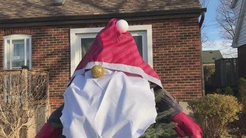 Christmas Gnome Tree Stock Footage 166240648