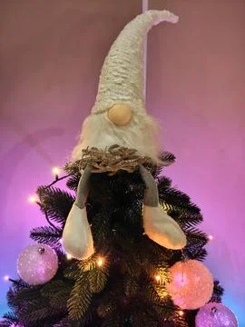 Christmas gnome on the tree Stock Photos