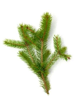 Christmas green framework isolated on white background Stock Photos