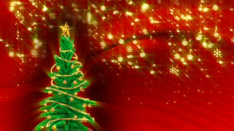 Christmas green tree Vídeo Stock 560734