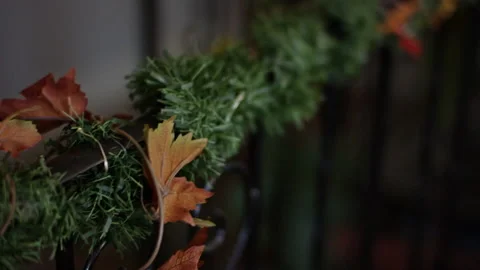 Christmas Greens Stock Footage 167926004