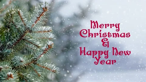 Christmas Greetings with pine tree Stock Footage 145060532