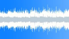 Christmas Holiday Magic Loop 1 Stock Music