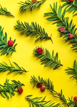 Christmas holiday pattern background. Stock-Fotos