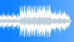 The Christmas Holidays Are Here Stock Music
