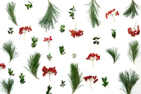 Christmas holidays botanical background Stock Photos