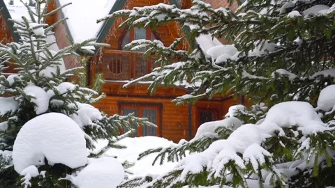 Christmas holidays Stockbeeldmateriaal 75701199