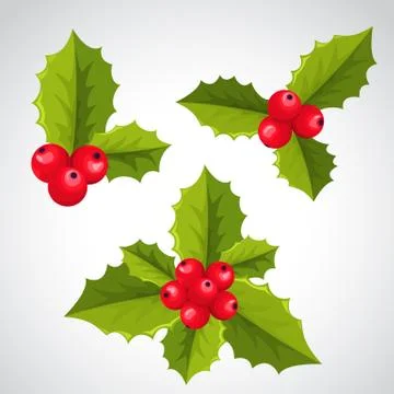 Christmas holly decorations Illustrazione stock