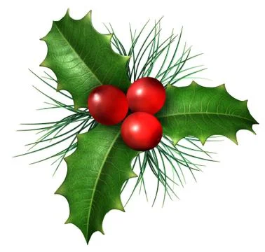 Christmas holly Illustrazione stock