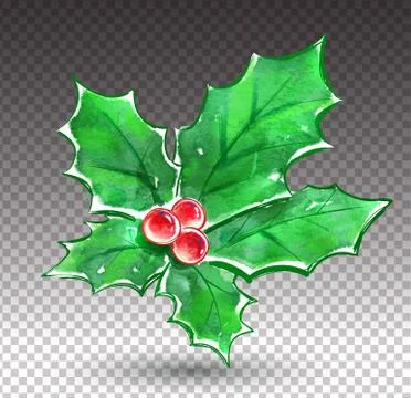 Christmas holly Stock Illustration