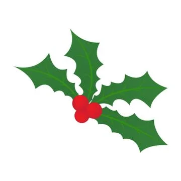 Christmas holly leaf Stock Illustration