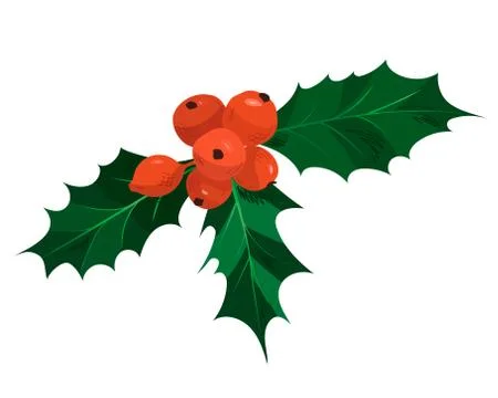 Christmas Holly With Red Berries Stock Illustration