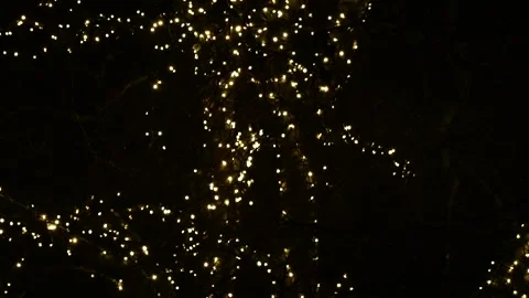 Christmas illuminated tree upside down view Stock Footage 162560333