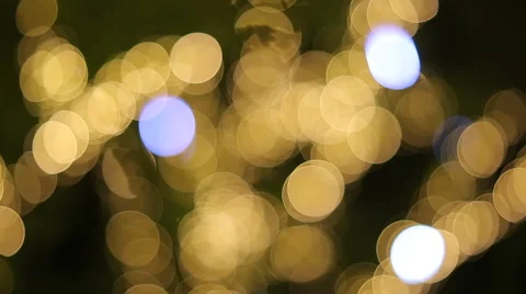 Christmas Illumination On Branches Of Tree Stock Footage 40032772