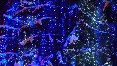 Christmas illumination Stock Footage 122556341