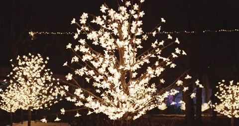 Christmas illuminations Stock Footage 167603332