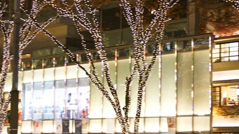 Christmas Illuminations on the Keyaki Tree-lined Avenue and Omotesando Hills 스톡 동영상 327325840