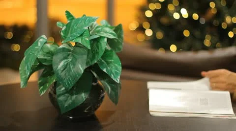 Christmas interior Stock Footage