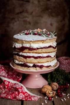 Christmas Layered Cake with Raspberry Jam and Whipped Cream Fotos de archivo