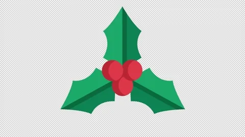 Christmas Leaf Icon Stock Footage 205037656