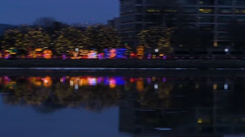 Christmas Light Display Stock Footage 115273533