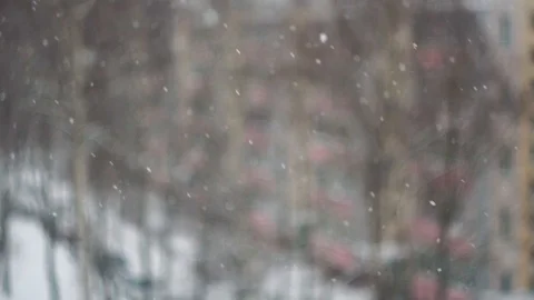 Christmas light falling on the background of blurred trees Stock Footage 114791591