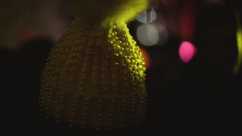 Christmas light on hat Stock Footage 100988749