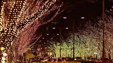 Christmas Light-up Omote Sando Stock Footage 82276949