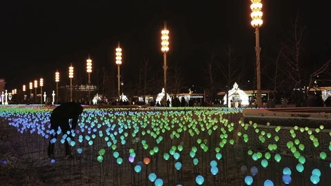 Christmas light park decorations Video stock 122309607