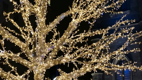 Christmas light on tree Stock Footage 125553892